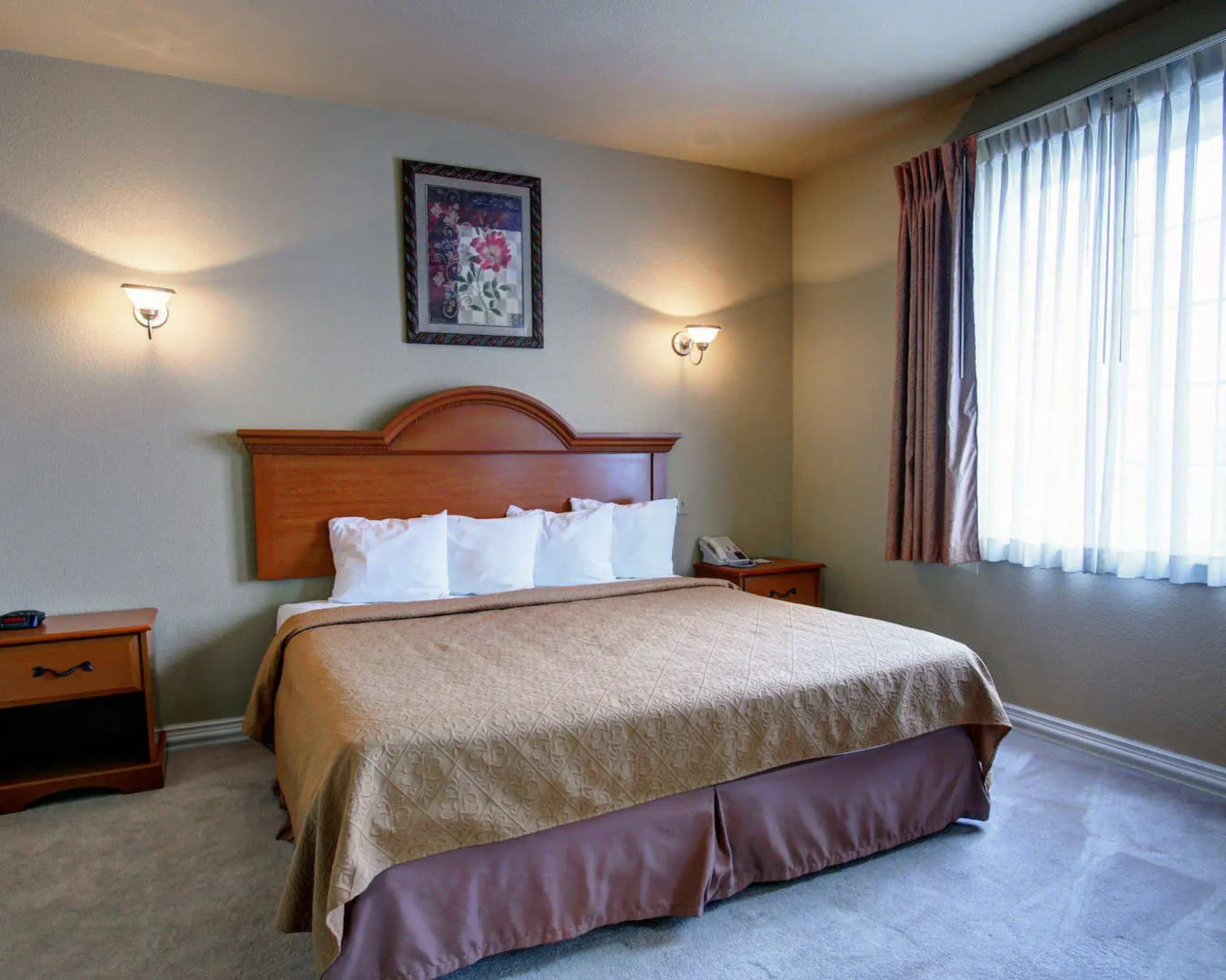 Quality Inn & Suites