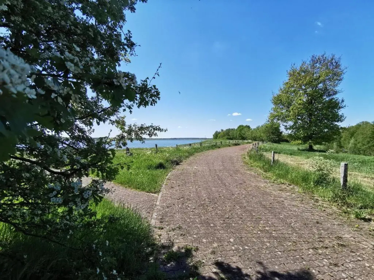 Ferienhaus Rhode am Alfsee