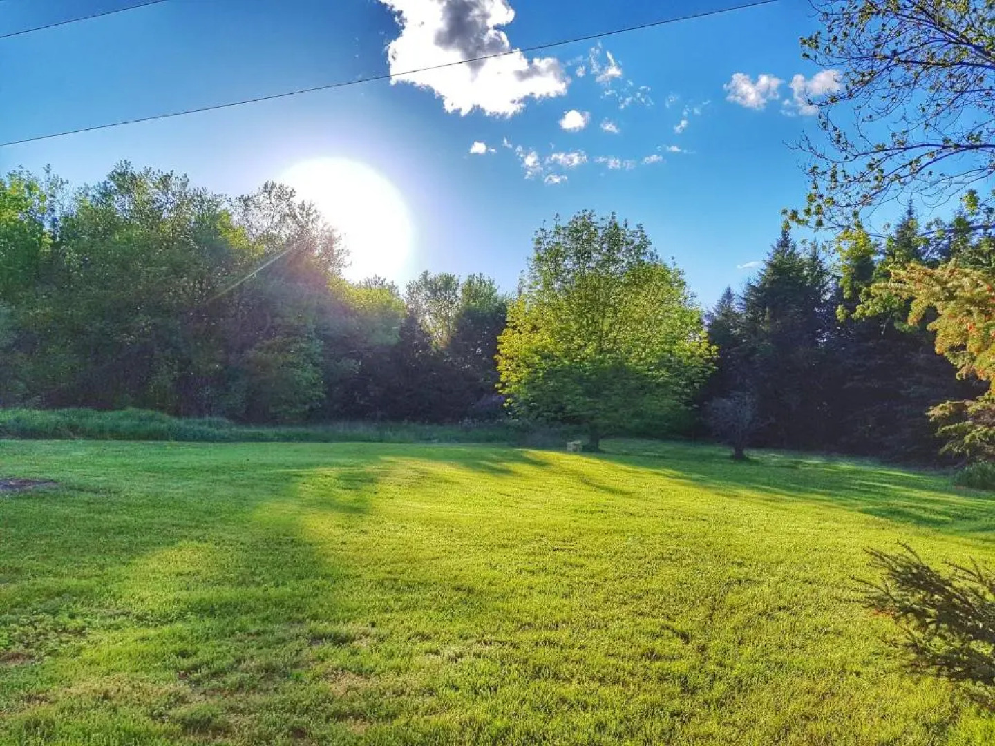 The Backcountry Inn & Hostel