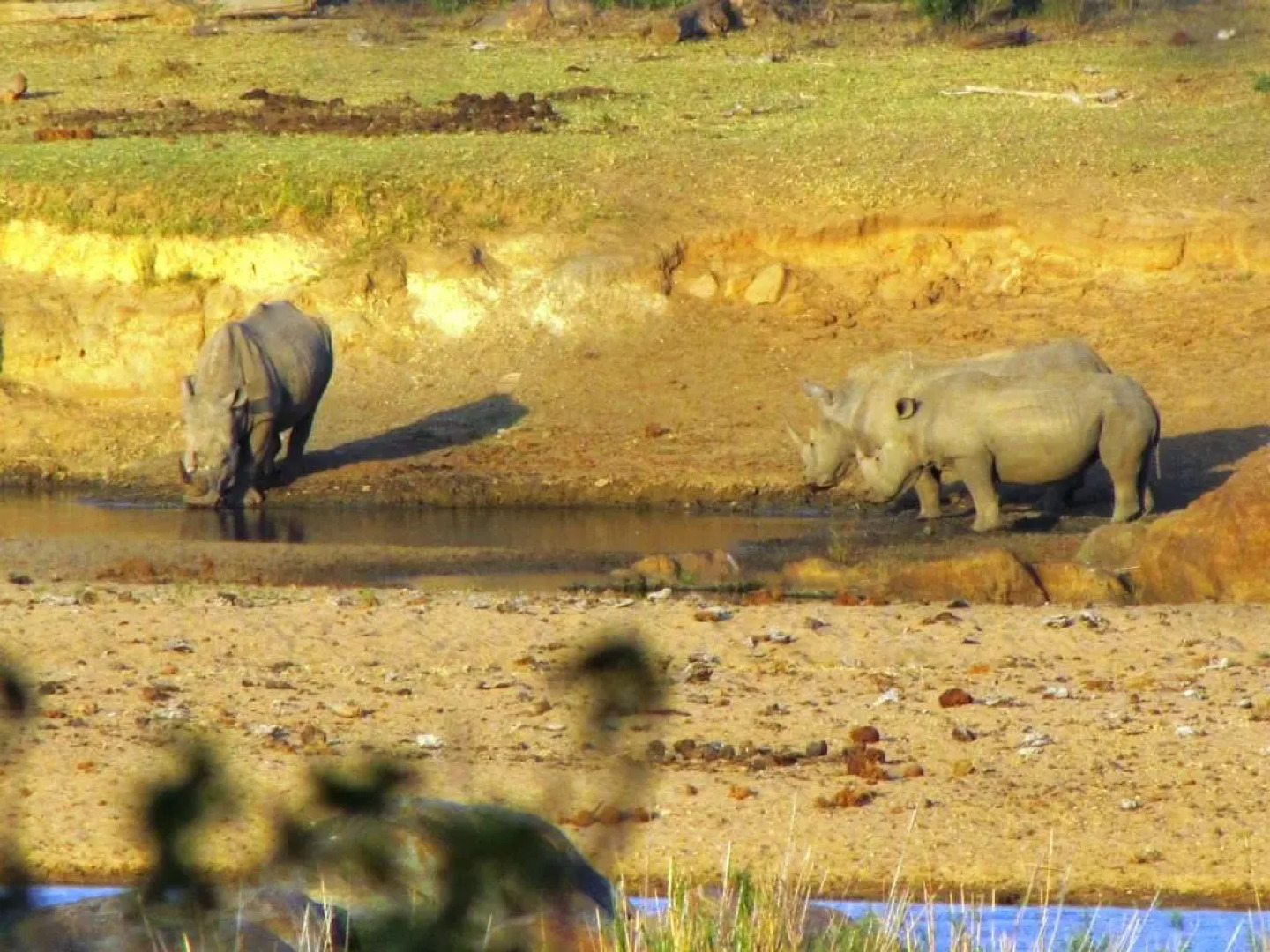 Umvangazi Rest - Enjoy a Relaxing, Rejuvenating and Peaceful Setting in the Bush