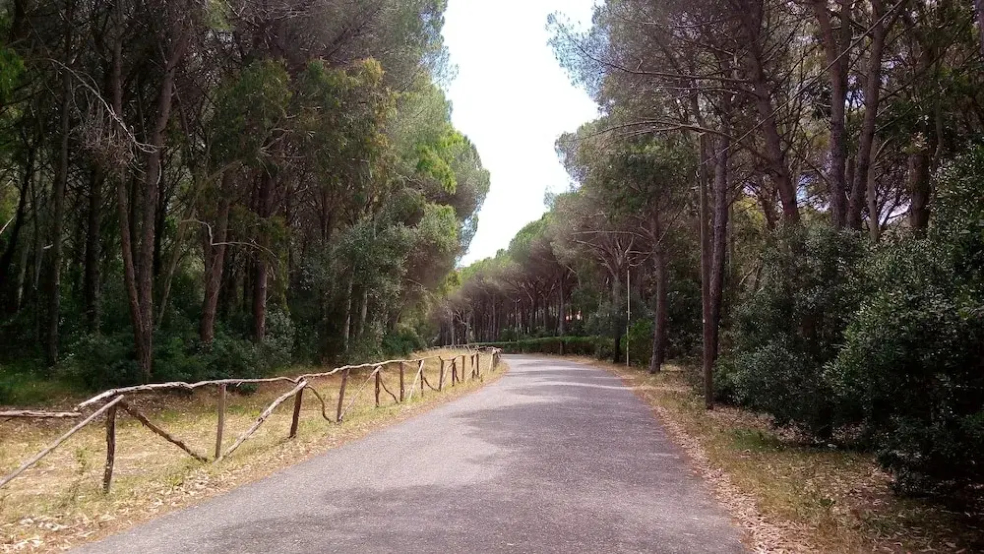 Green House - Woods And Beaches - Sardinia