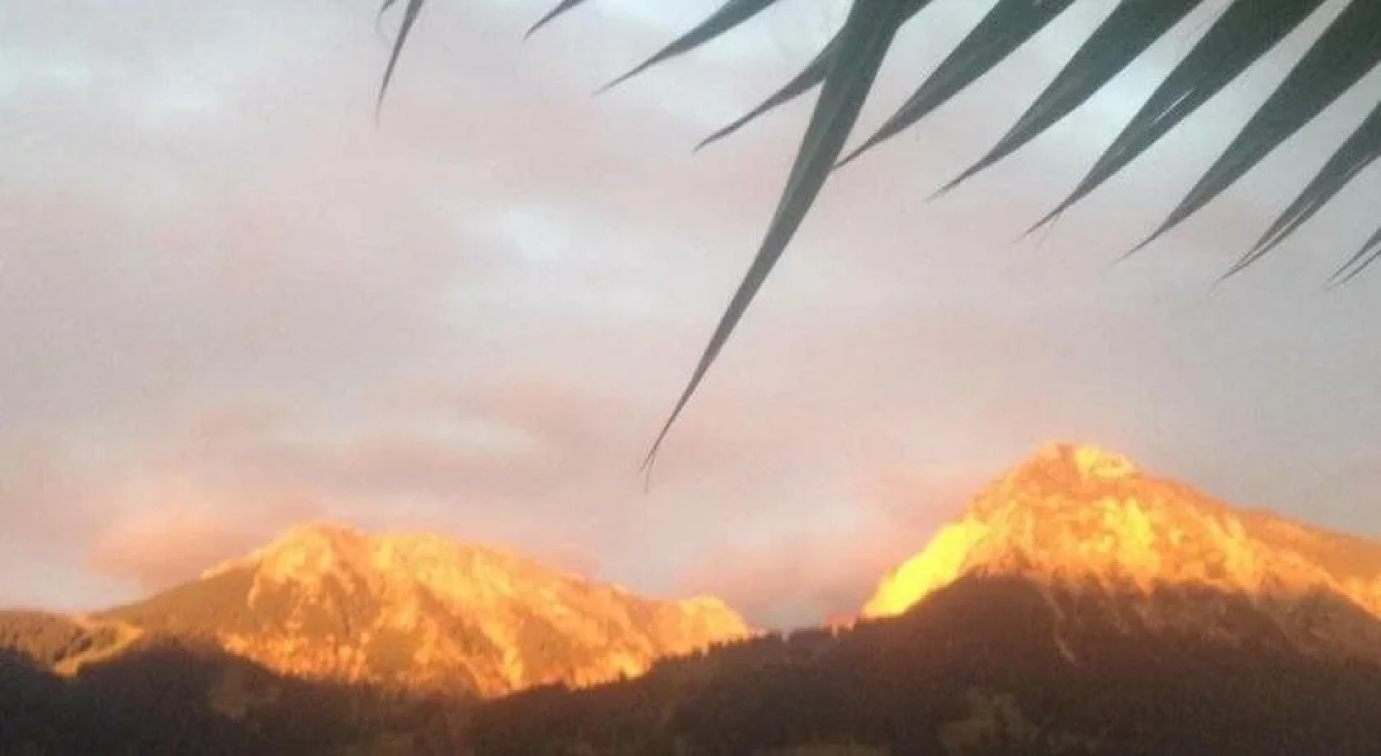 Landgasthof Steinbock