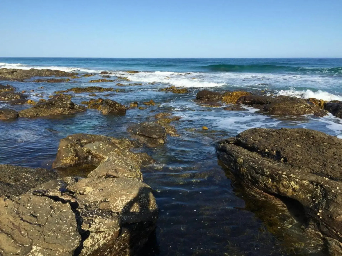 Ocean View with Views Galore