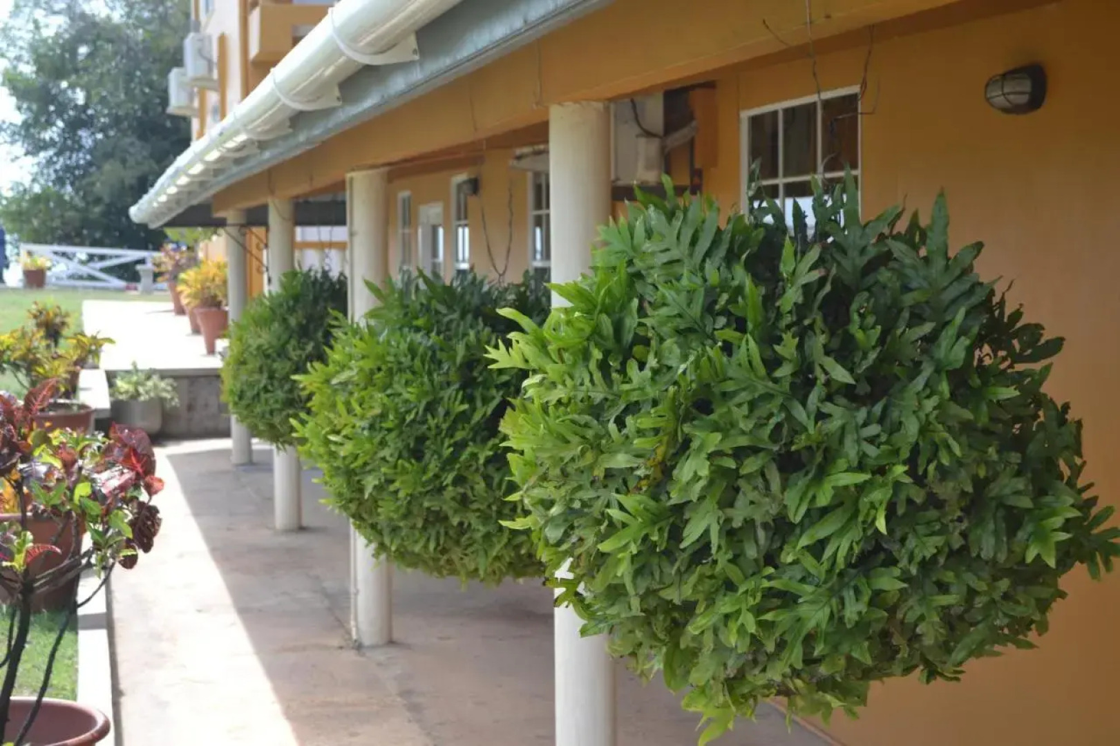 Reef View Apartments