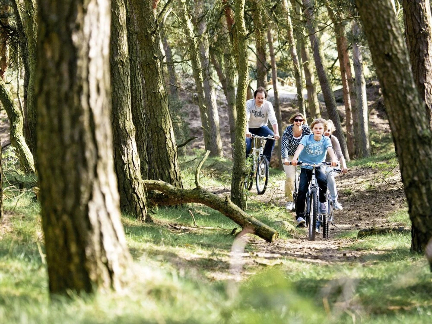 Center Parcs De Huttenheugte Dalen