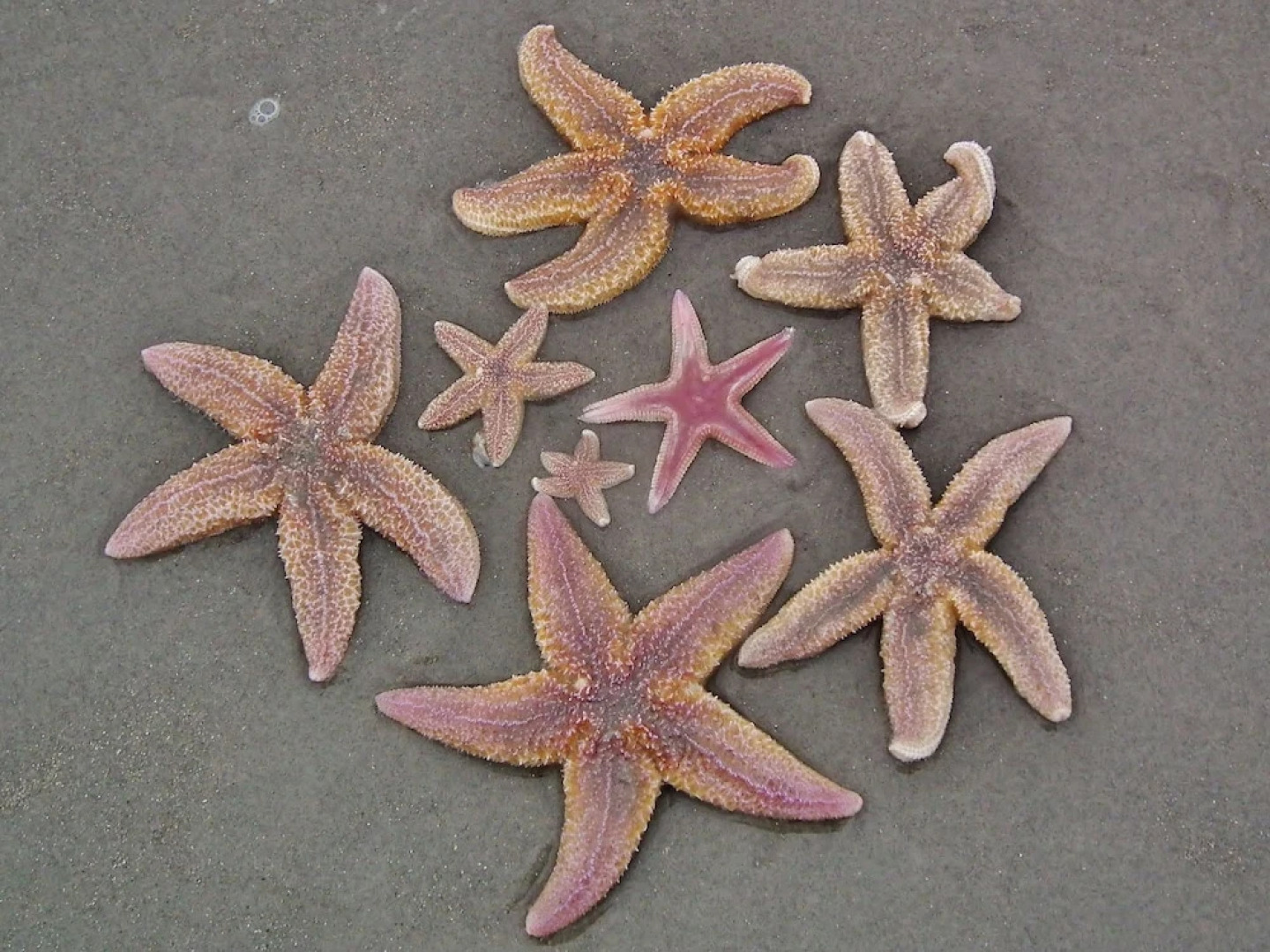 Sunlit Villa with Sauna in Nes