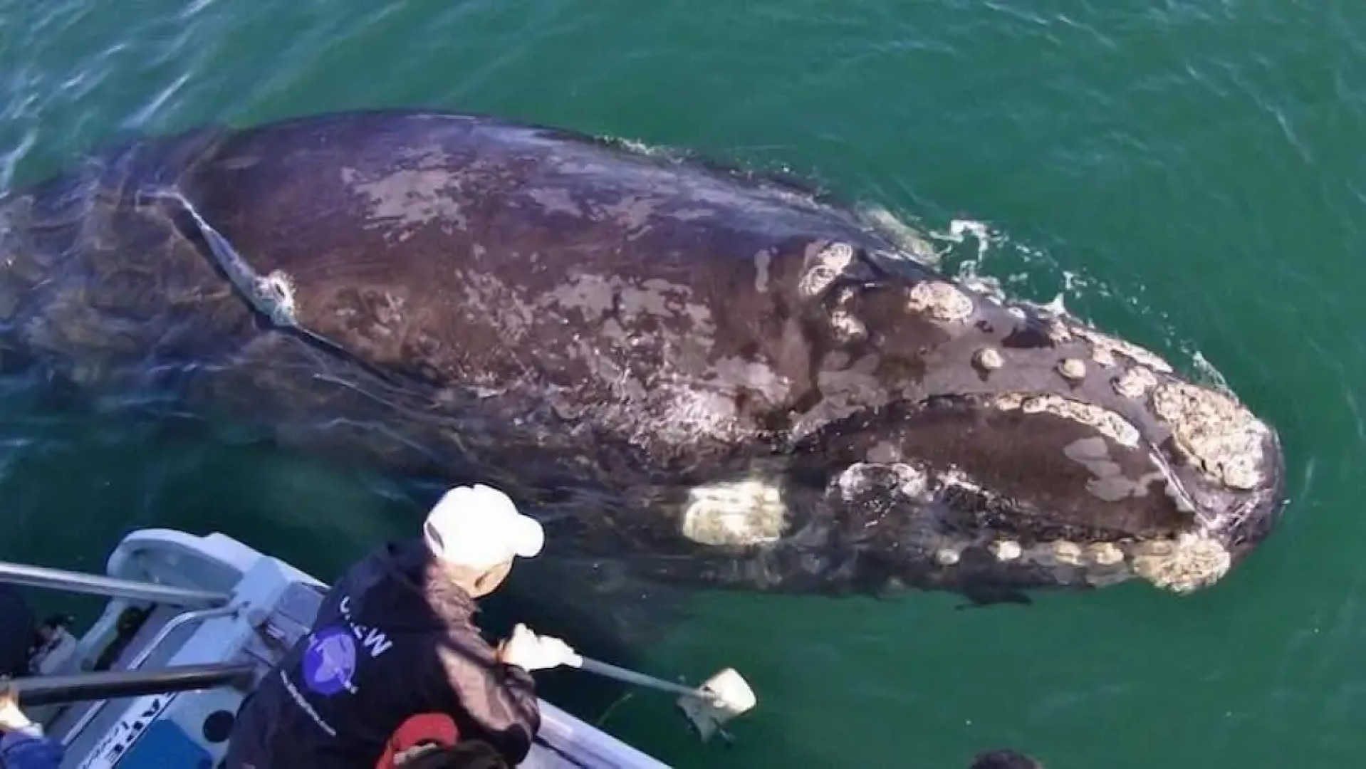 Crayfish Lodge Sea & Country Guest House