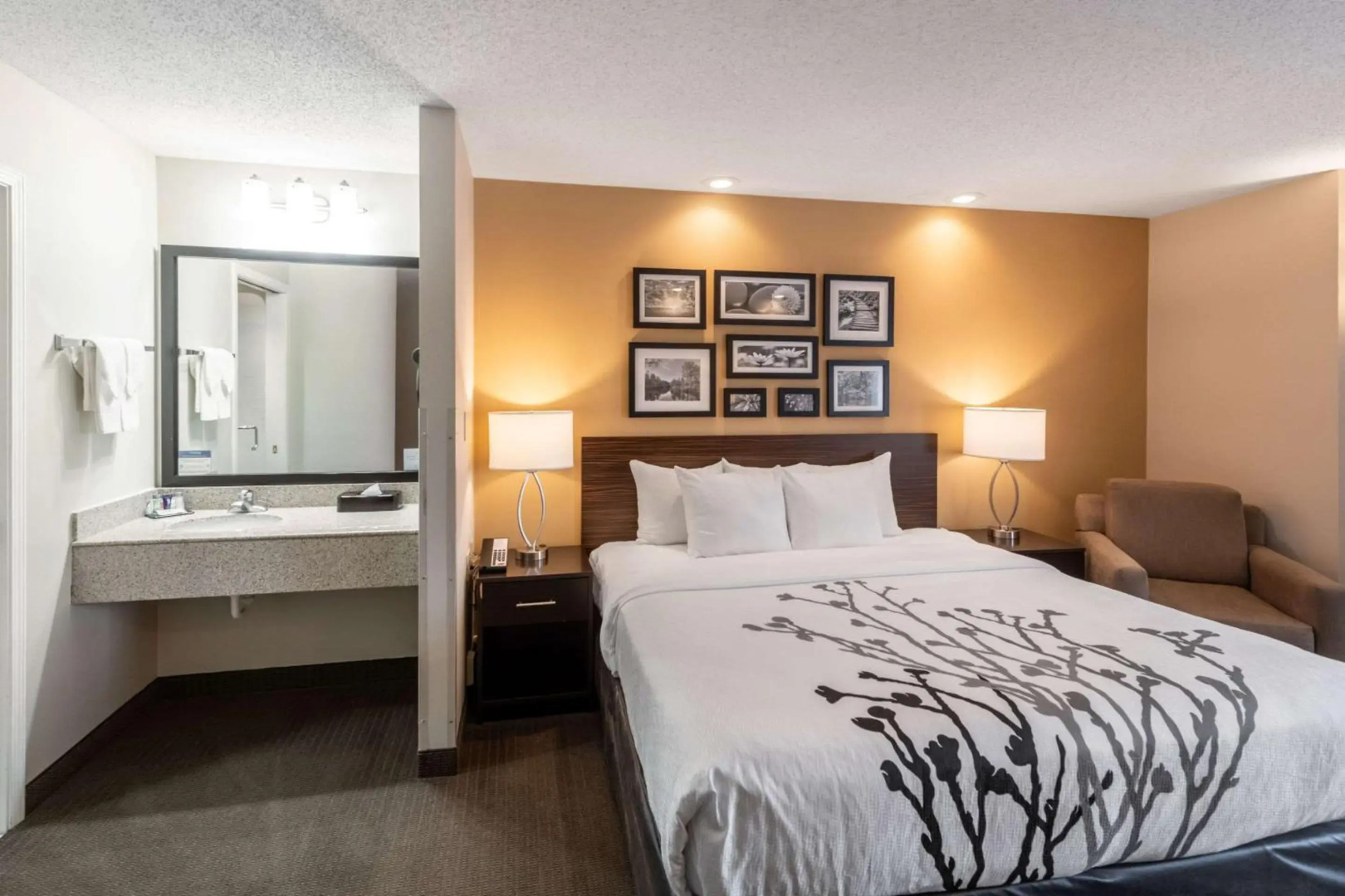 Sleep Inn & Suites Green Bay South