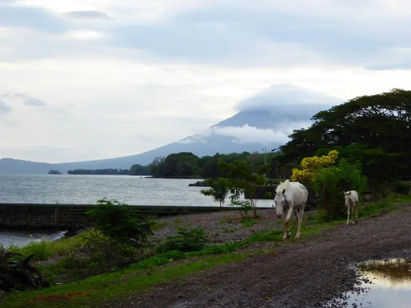Hospedaje La Cascada