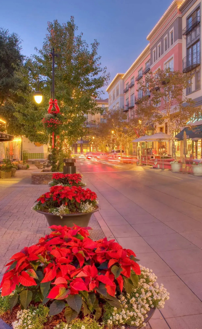 San Jose Safehouse Suites