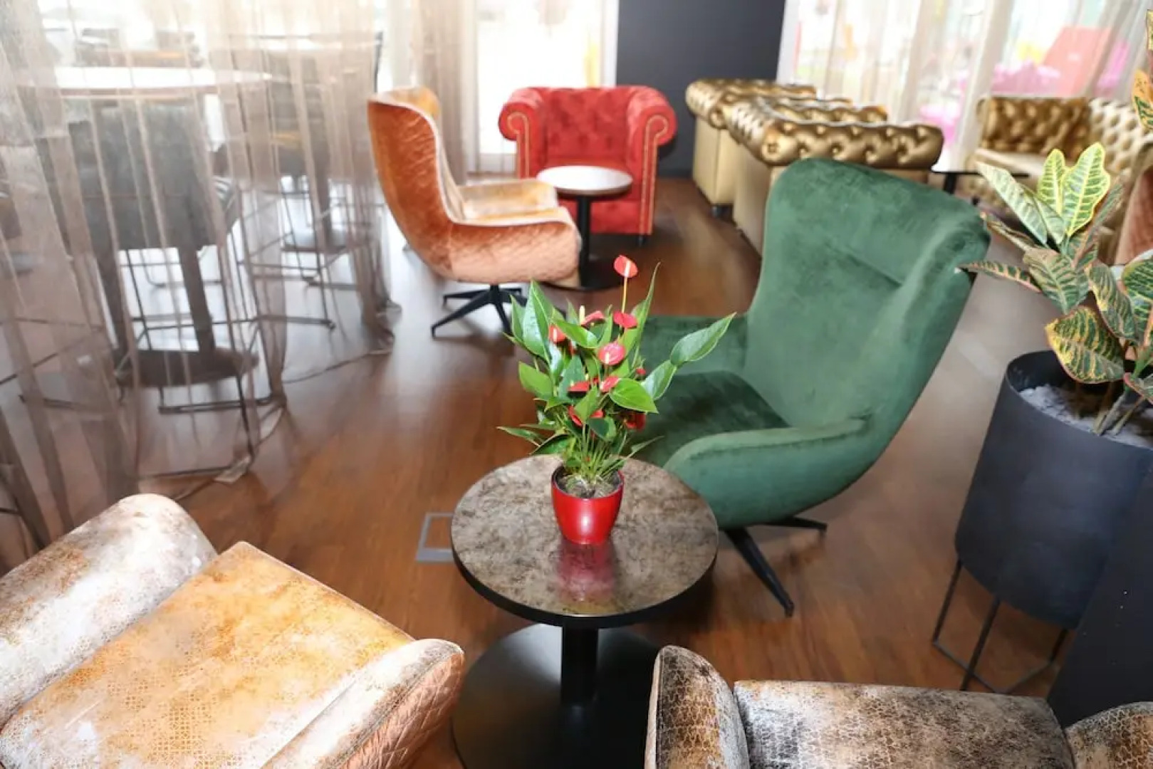 AMEDIA Studios and Living