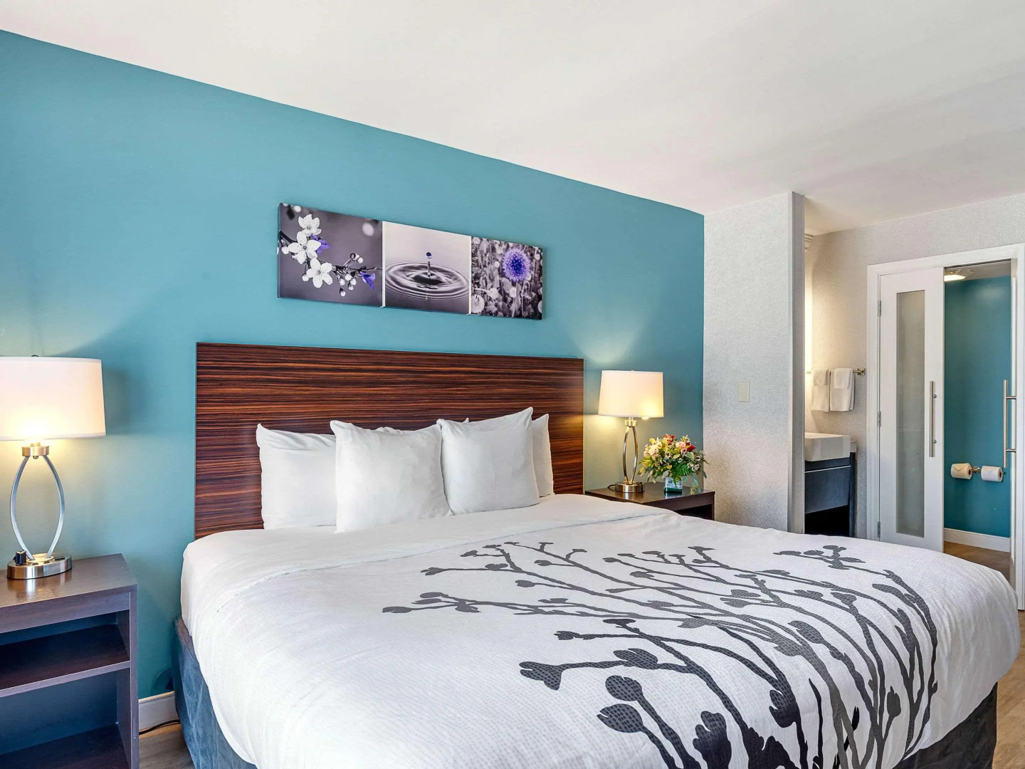 Sleep Inn On The Beach