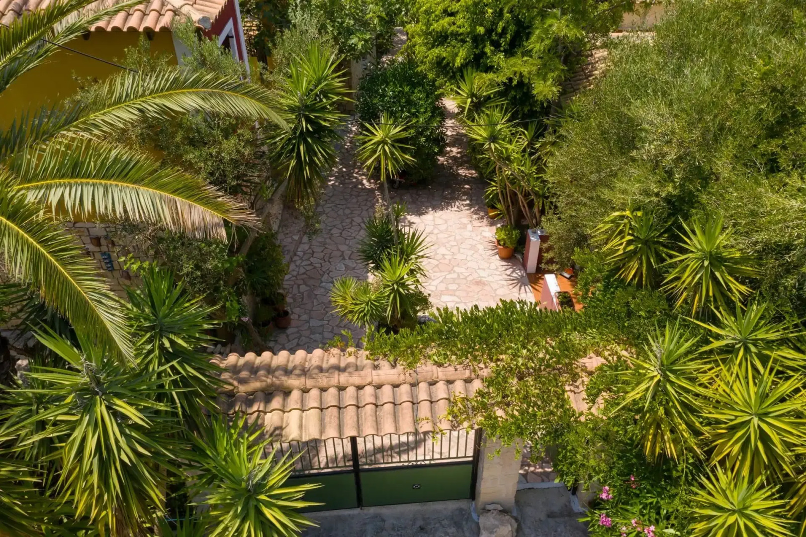 Garden of Eden Zante