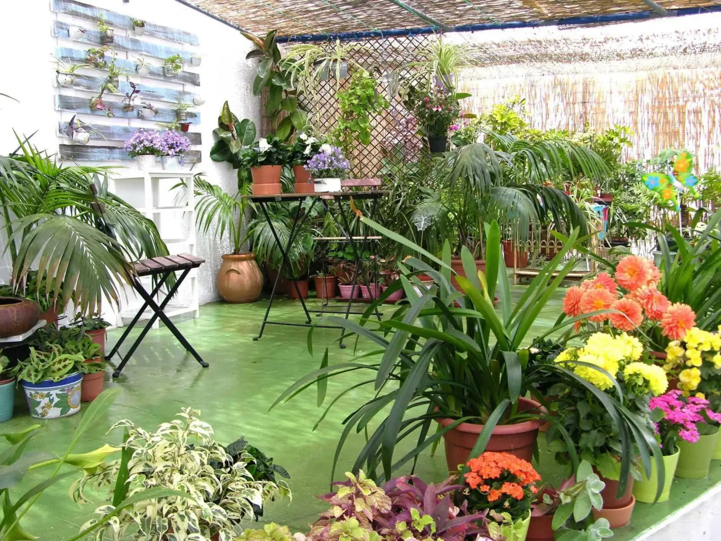 Apartamentos Calypso