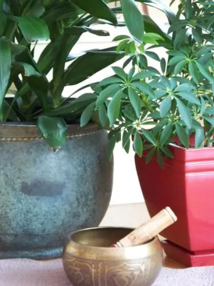 Moon Gate Guest House