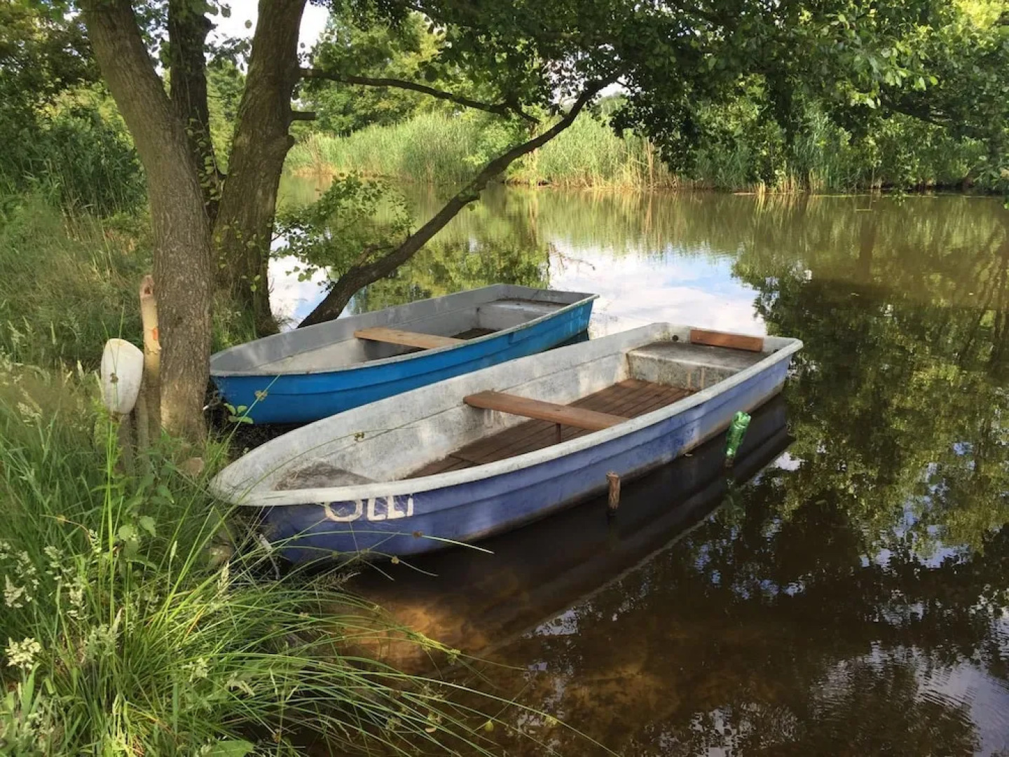 Alwine - Landhaus an den Spreewiesen