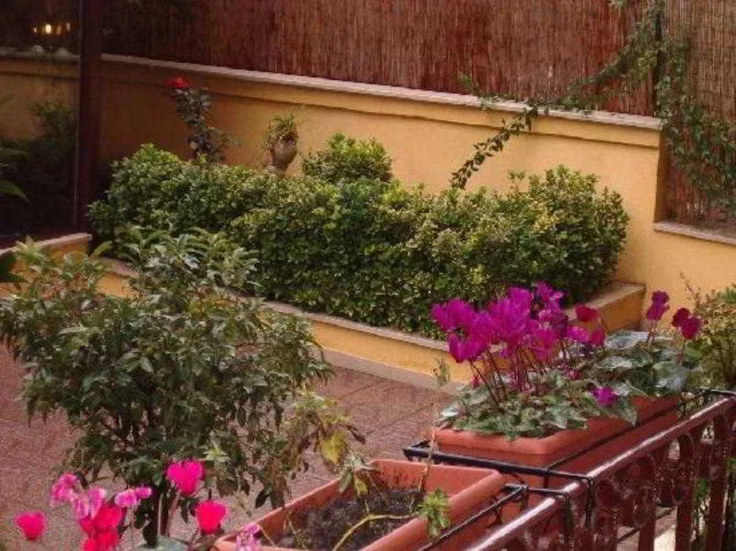 Bed & Breakfast Maria