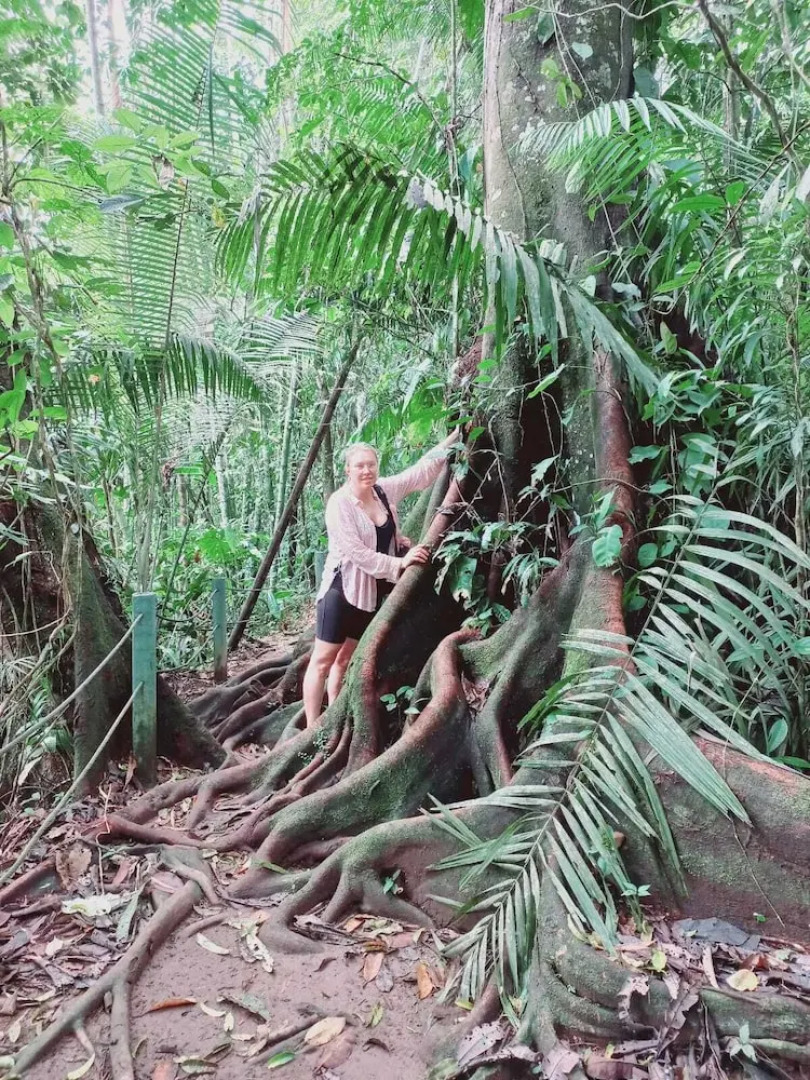 Ayawaska Atractivo Sacha Wasi