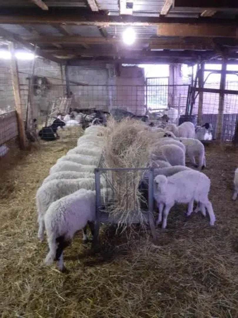 Agriturismo Codula Fuili