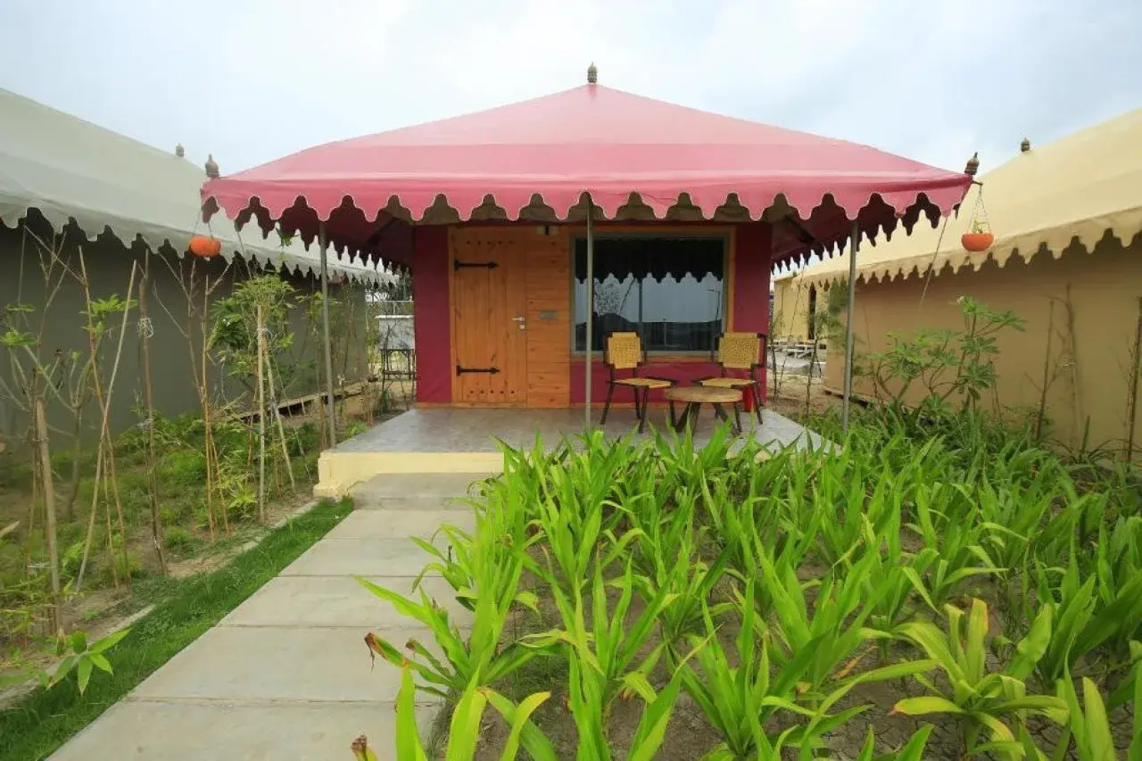 Kamnath Zinc Journey by The Fern