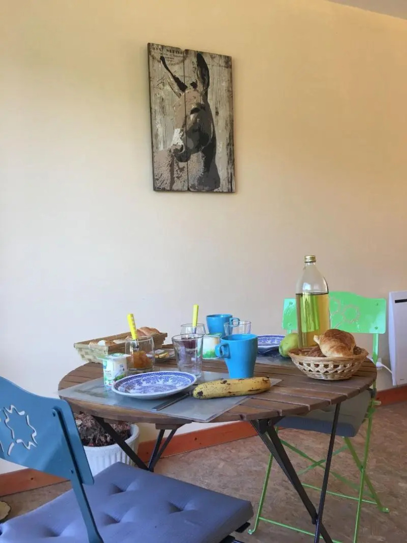 Les Ânes de Forcalquier