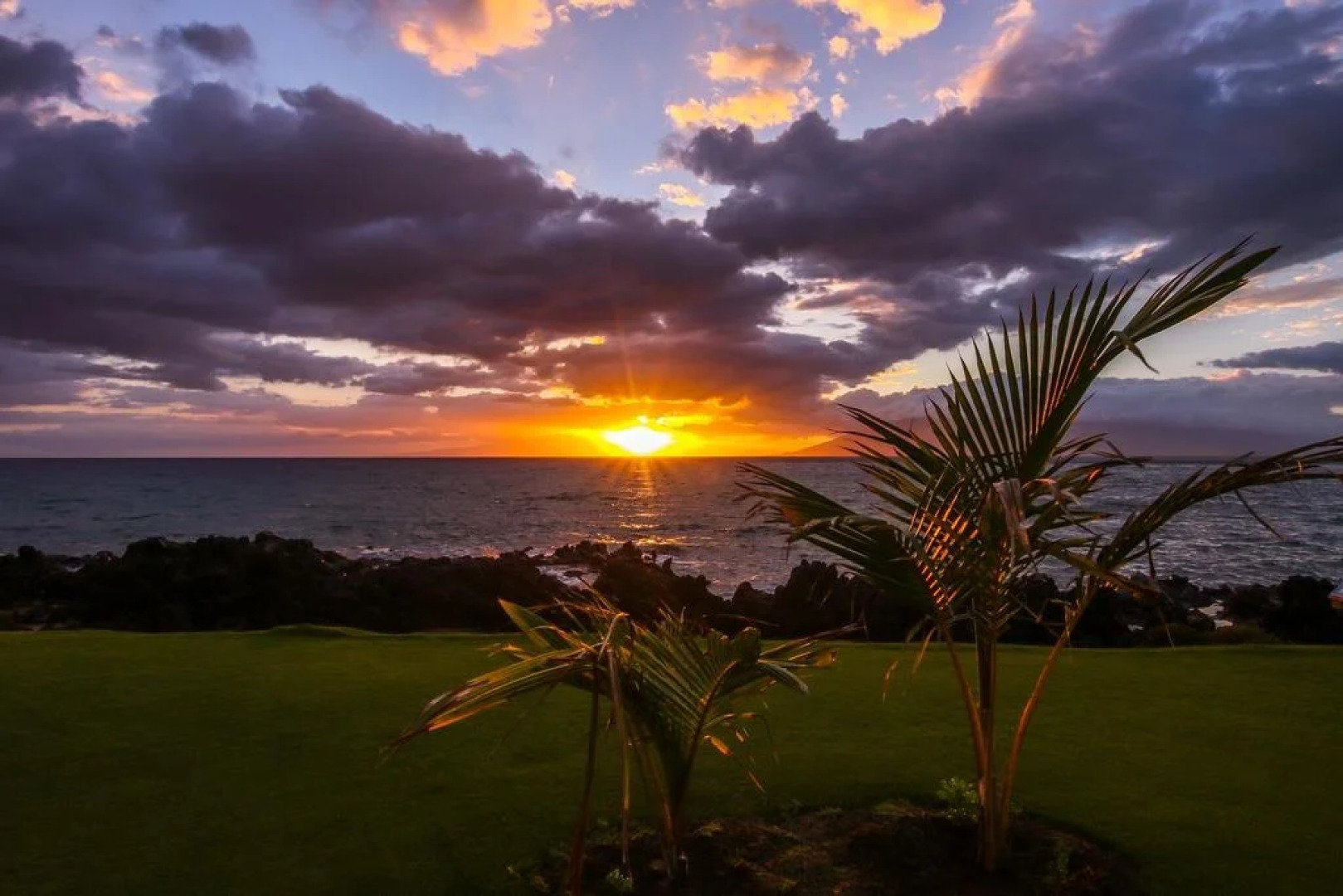 Kamaole Nalu Oceanfront Condo Rentals