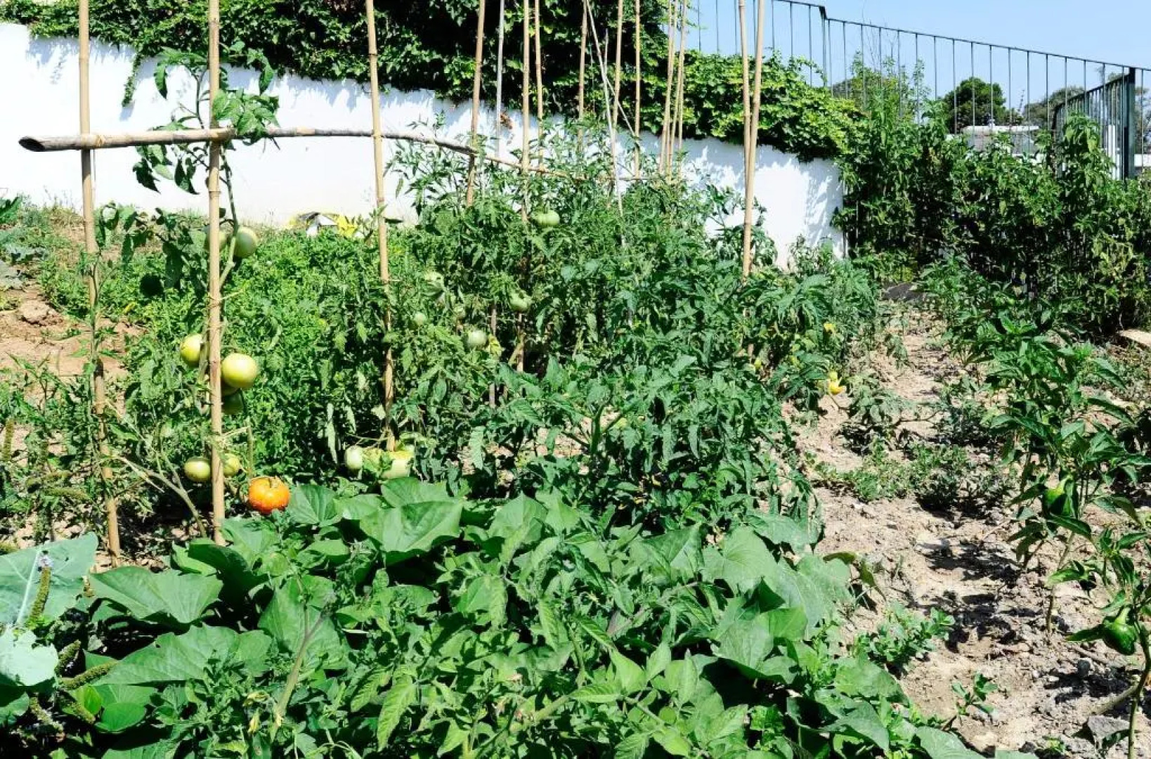 Oeiras 6 - Checkinhome