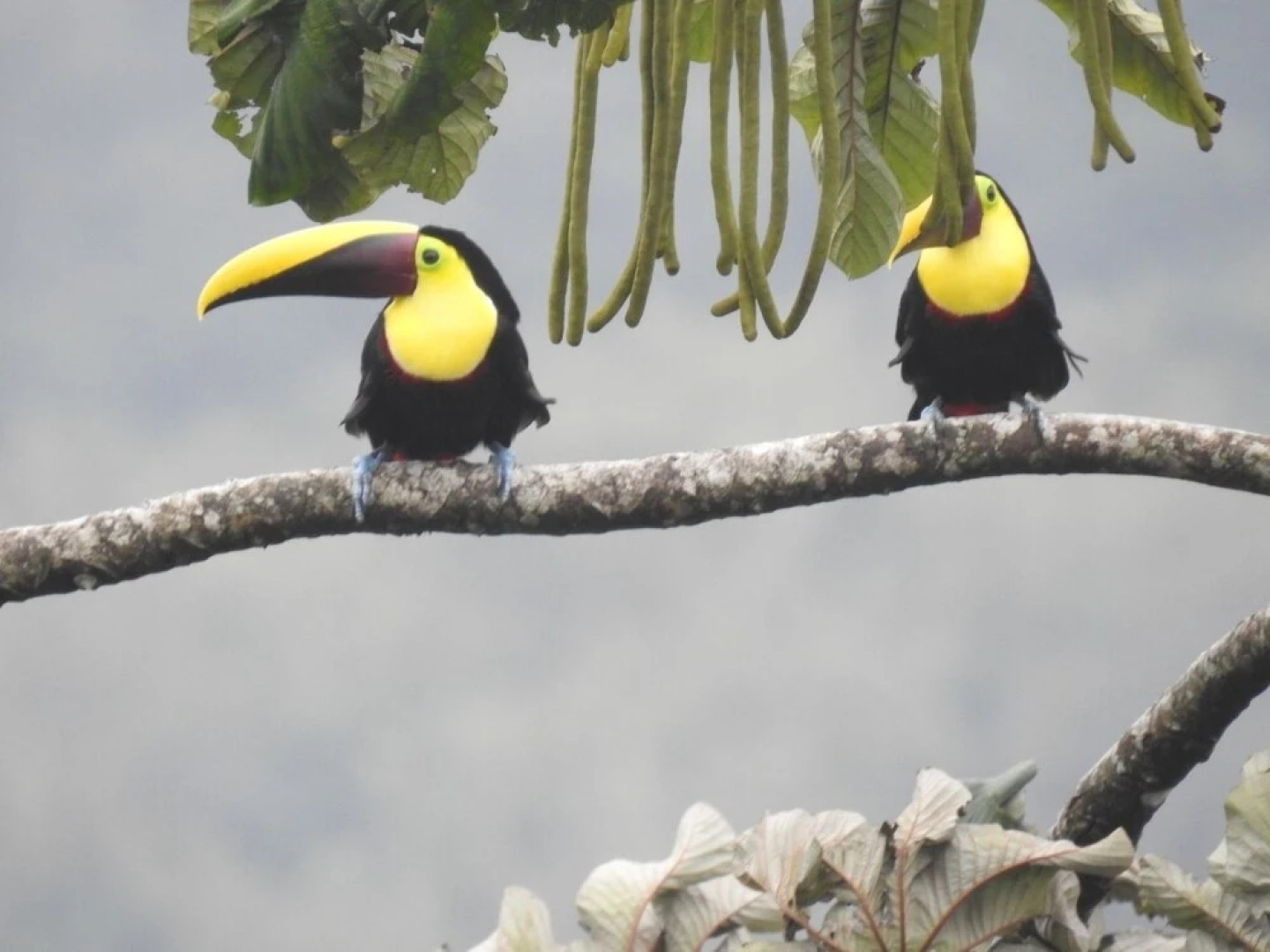 World Famous Toad Hall Hotel
