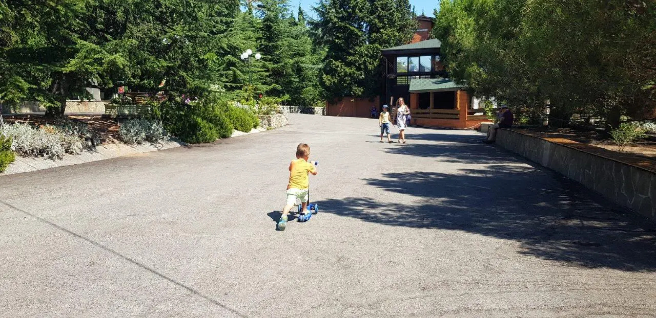 Алые паруса