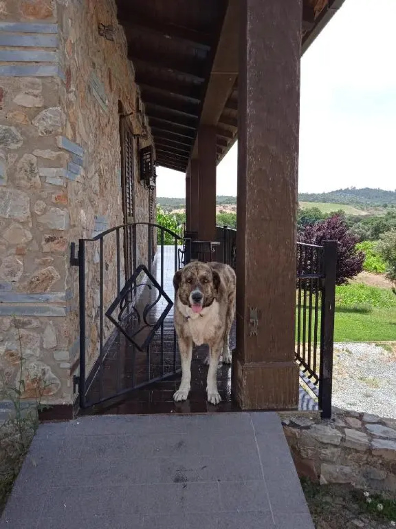 Casa Rural Camino del Alentejo