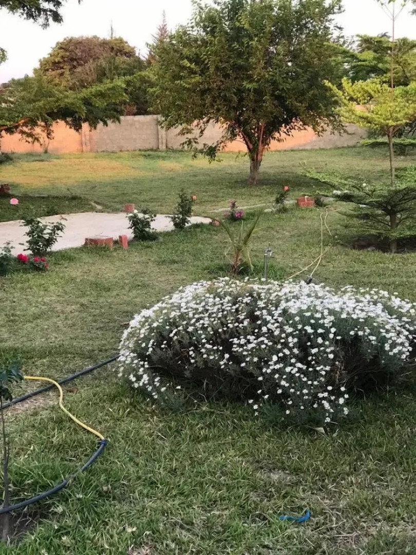 Kavango Dachils Lodges Ext2