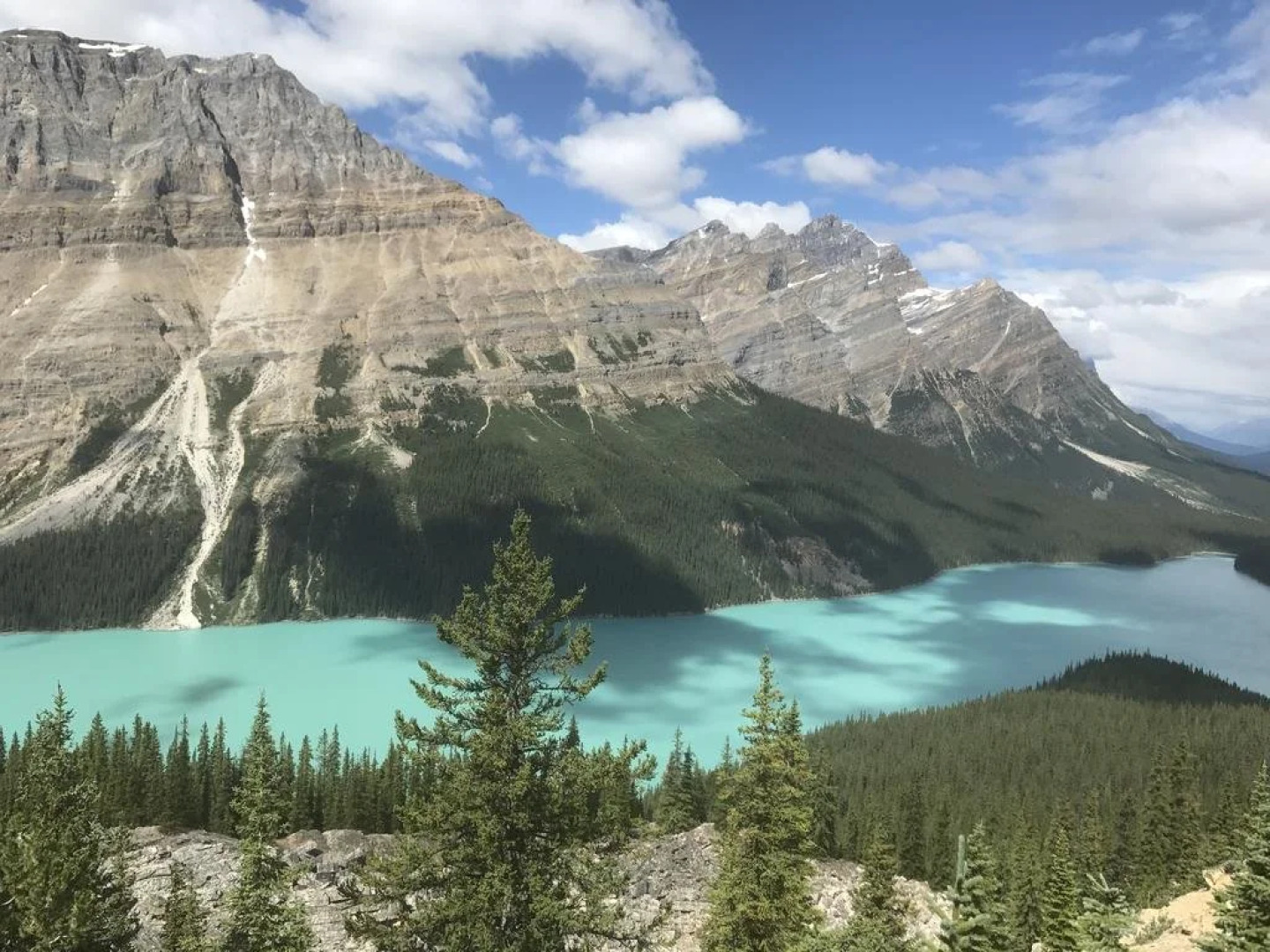 Caruso's Accommodation