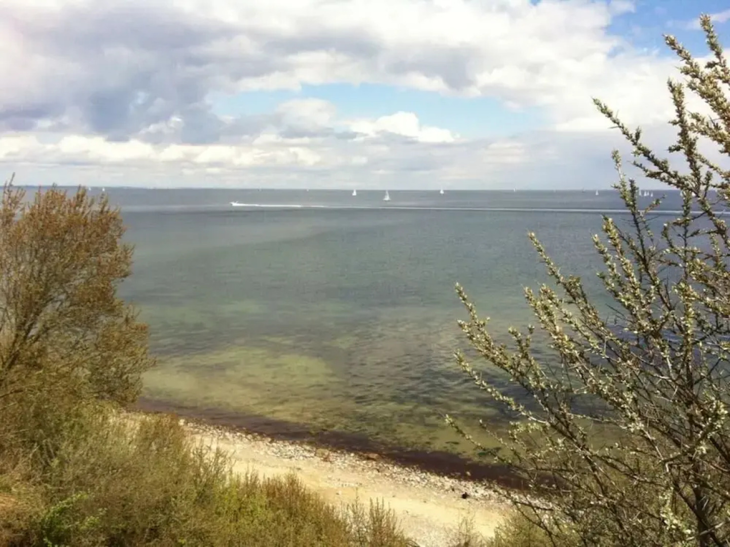 2 Rena Modern Retreat