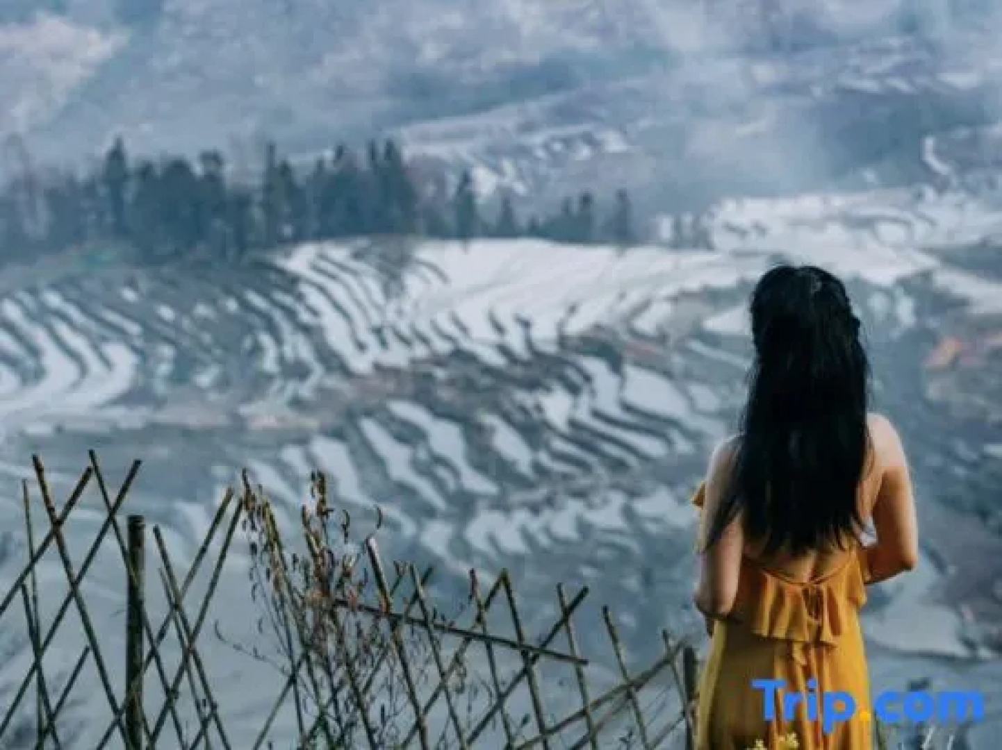 Yuanyang Huaweiwo No.2 Inn (Duoyishu Terraced Field Sunrise Inn)