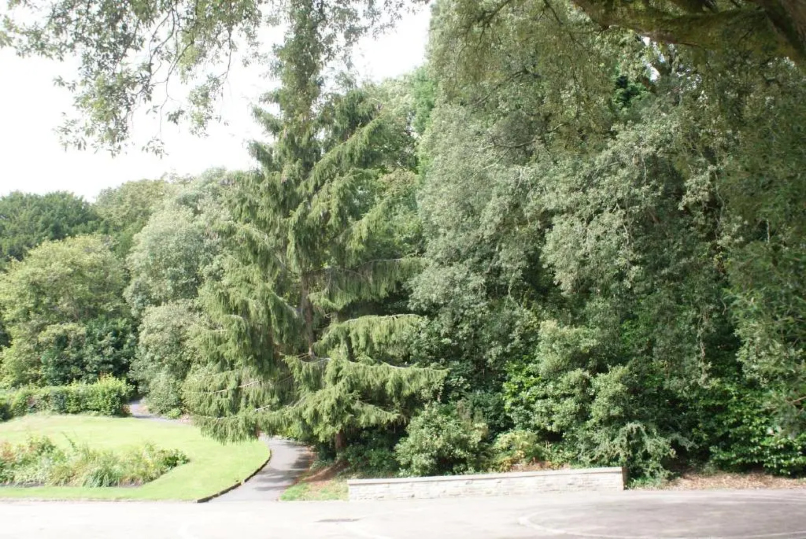 Coastal City Rooms - Uplands