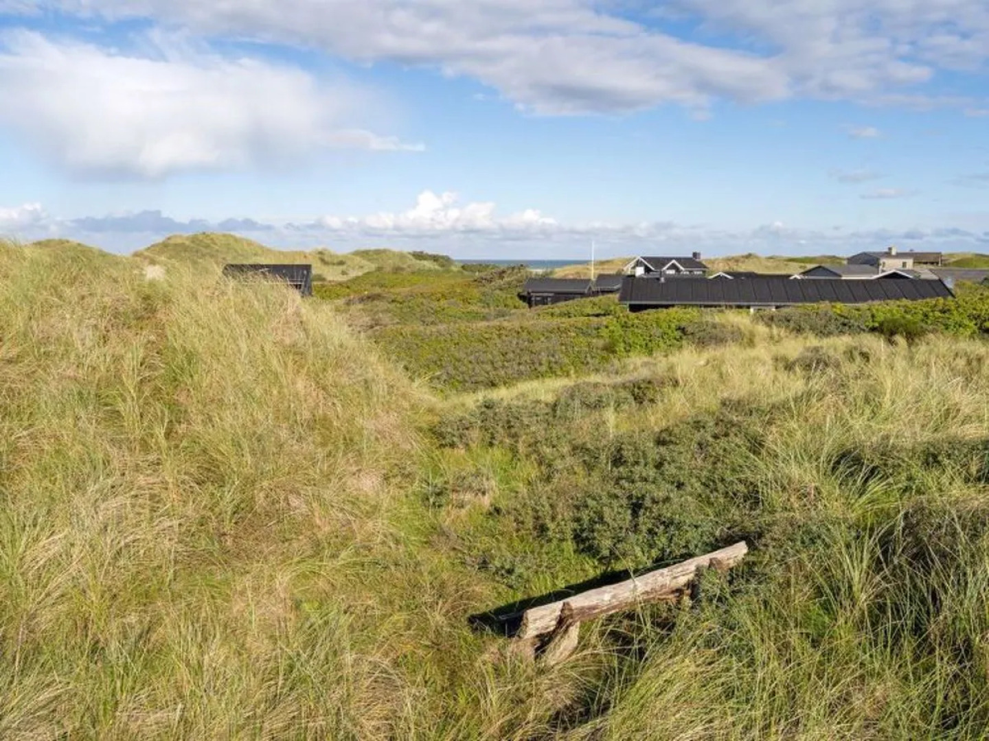 "Rudy" - 290m from the sea in NW Jutland