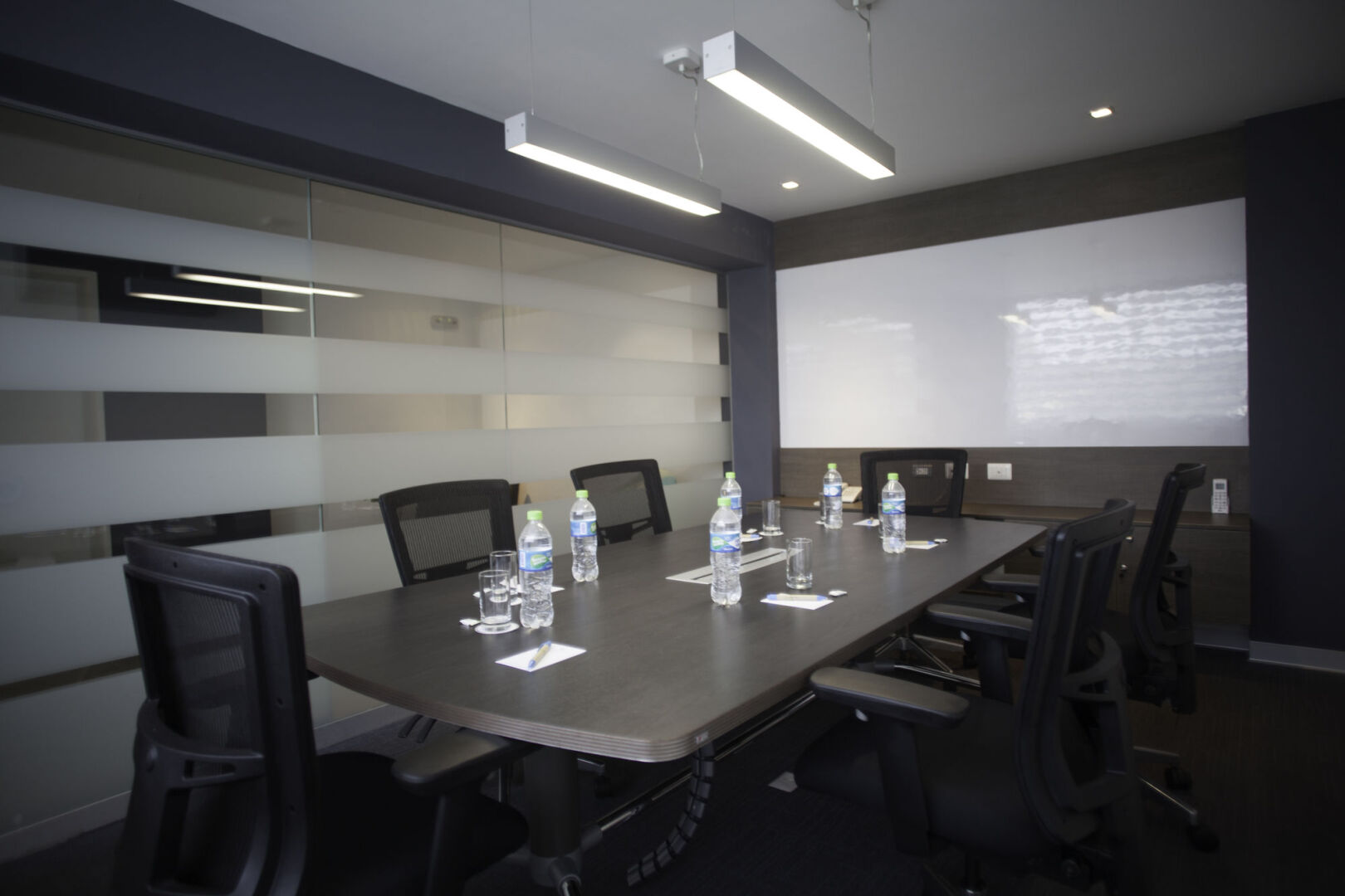 Palmetto Hotel Business San Miguel