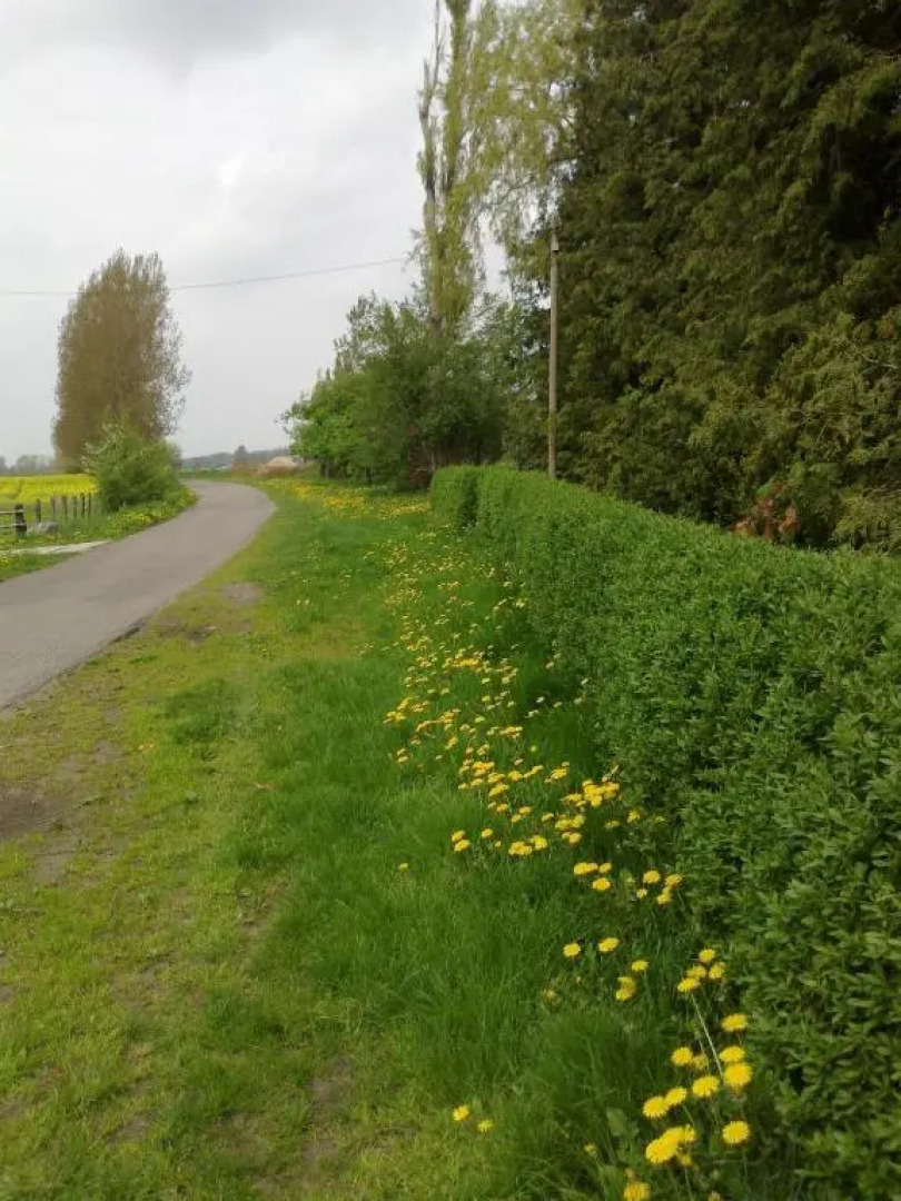Apartments zum Brauergang