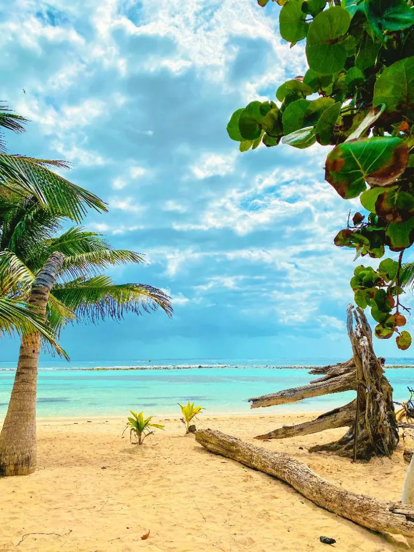 Eco Cabañas BlueKay