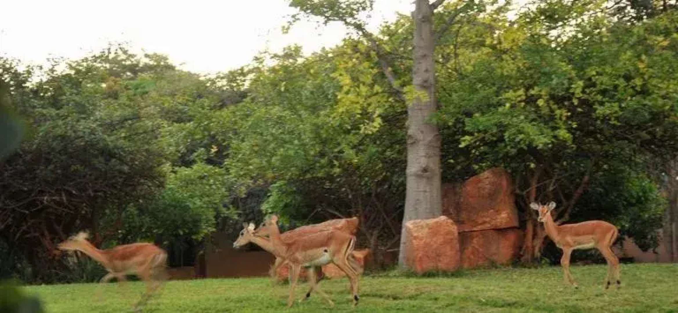 Cresta Golfview Hotel