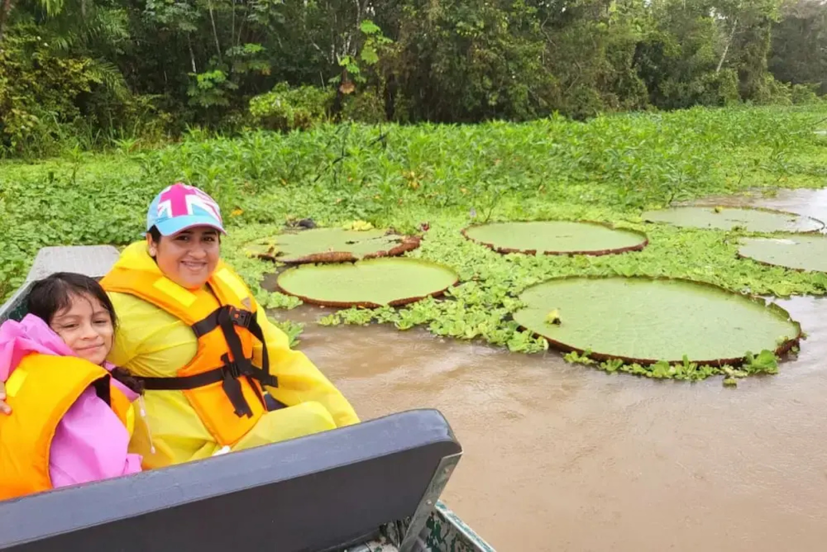 Curassow Amazon Lodge