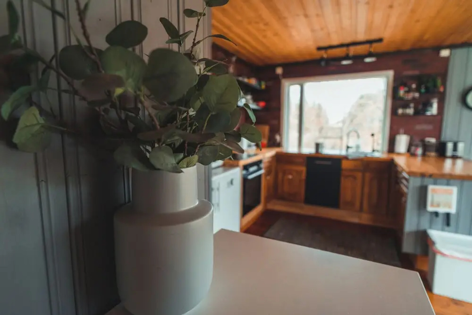 Eyja Mörk & Bubble Bedroom