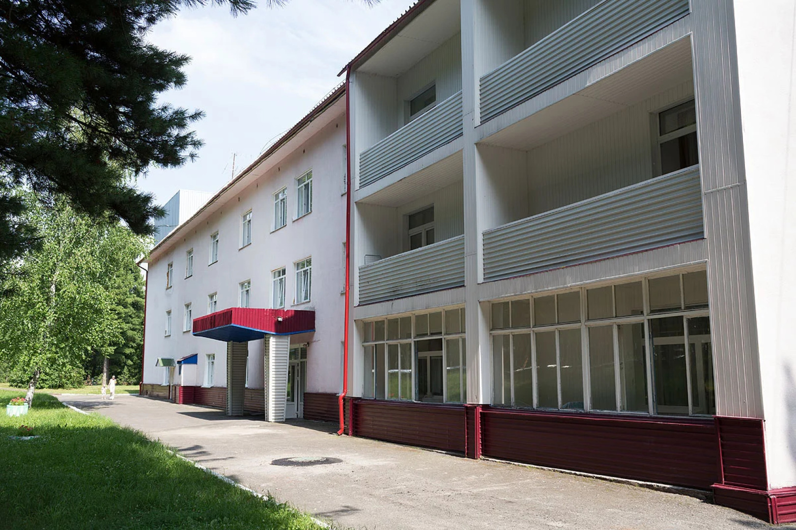 Кедровый бор