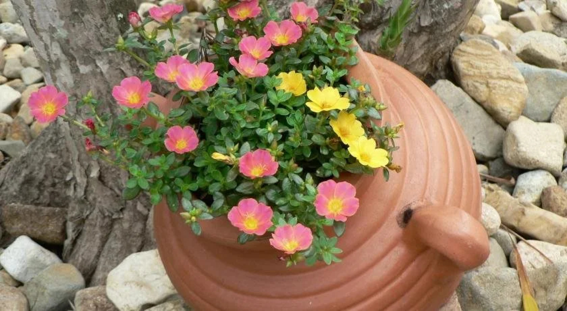 The Friendly Chat Bed and Breakfast