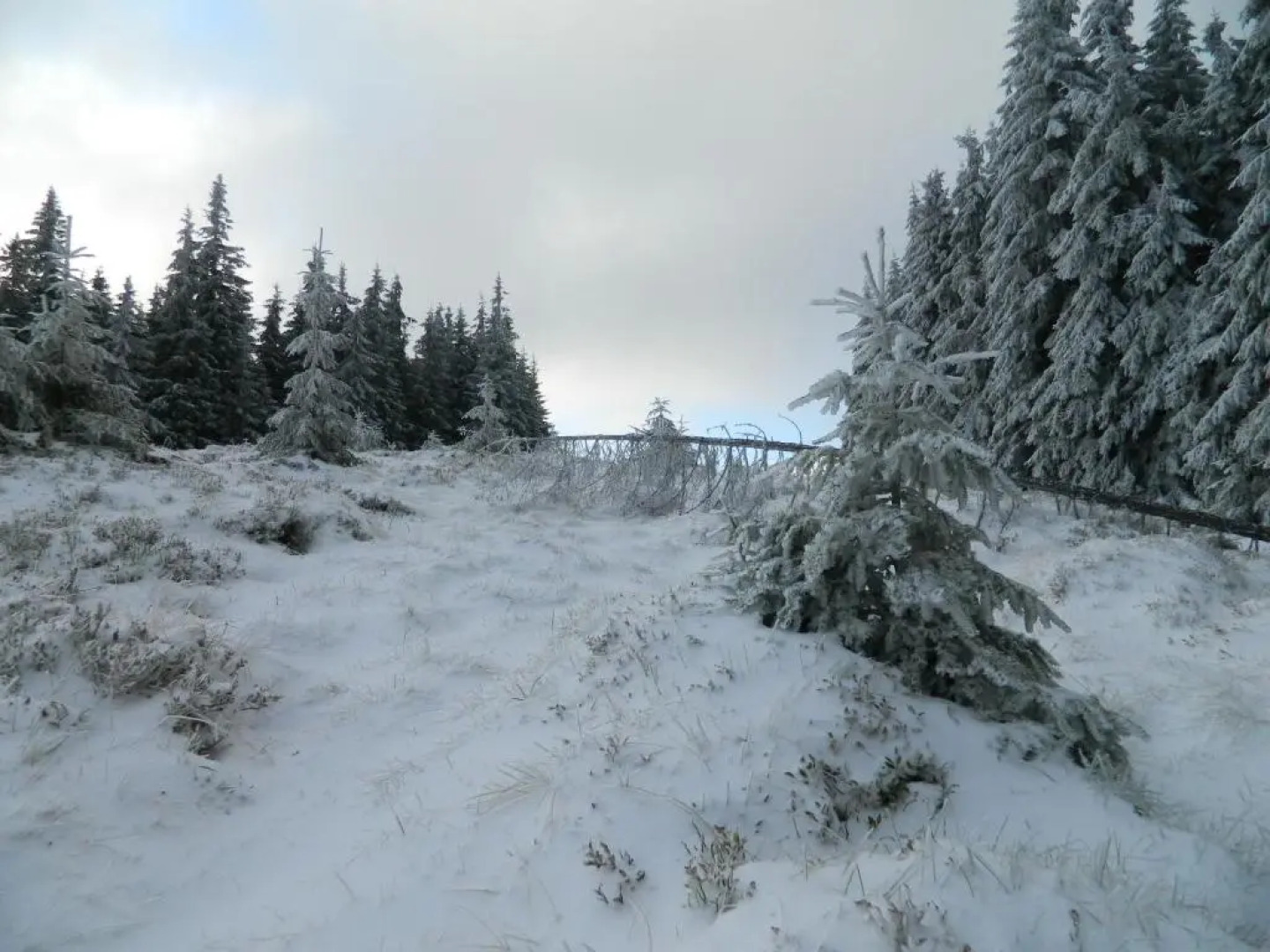 Usadba Okhotnichiy Dvor