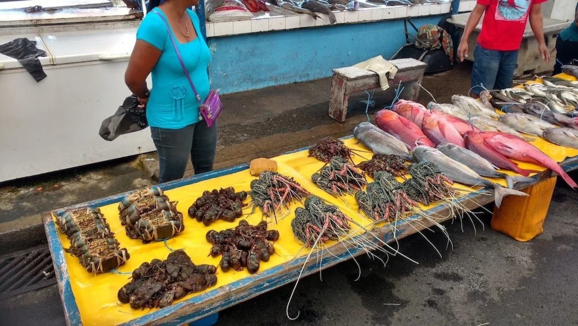 Island Accommodation Suva Premier Hospitality