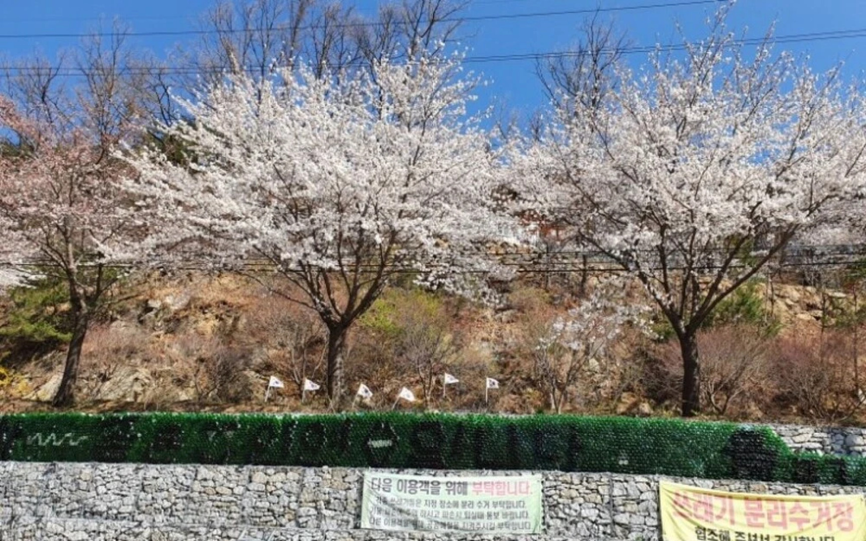 Yecheon Mulmalgeun Sangol Pension