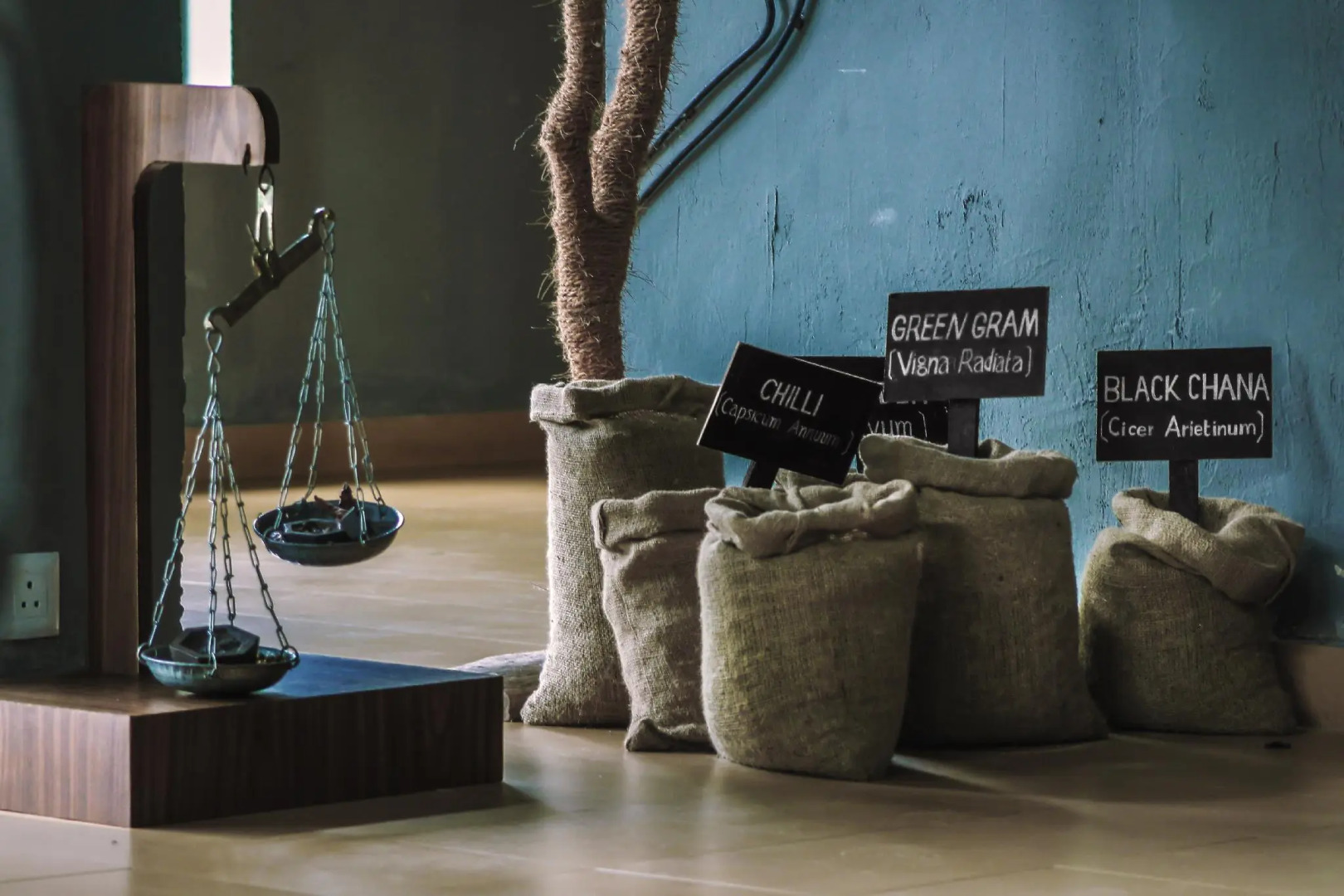 The Mountain Courtyard Thekady