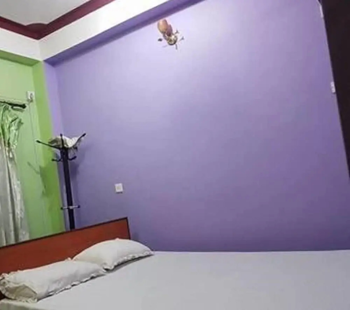 Hotel Zamzam & Restaurant