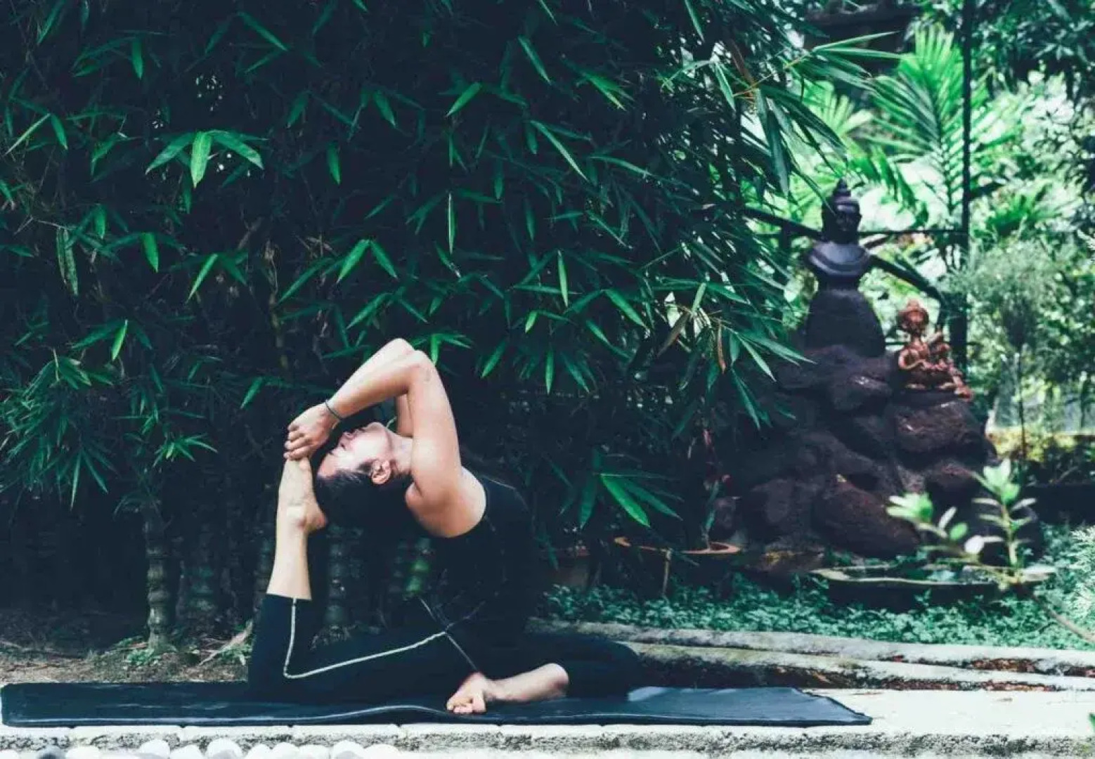 Hinterland Village Resort